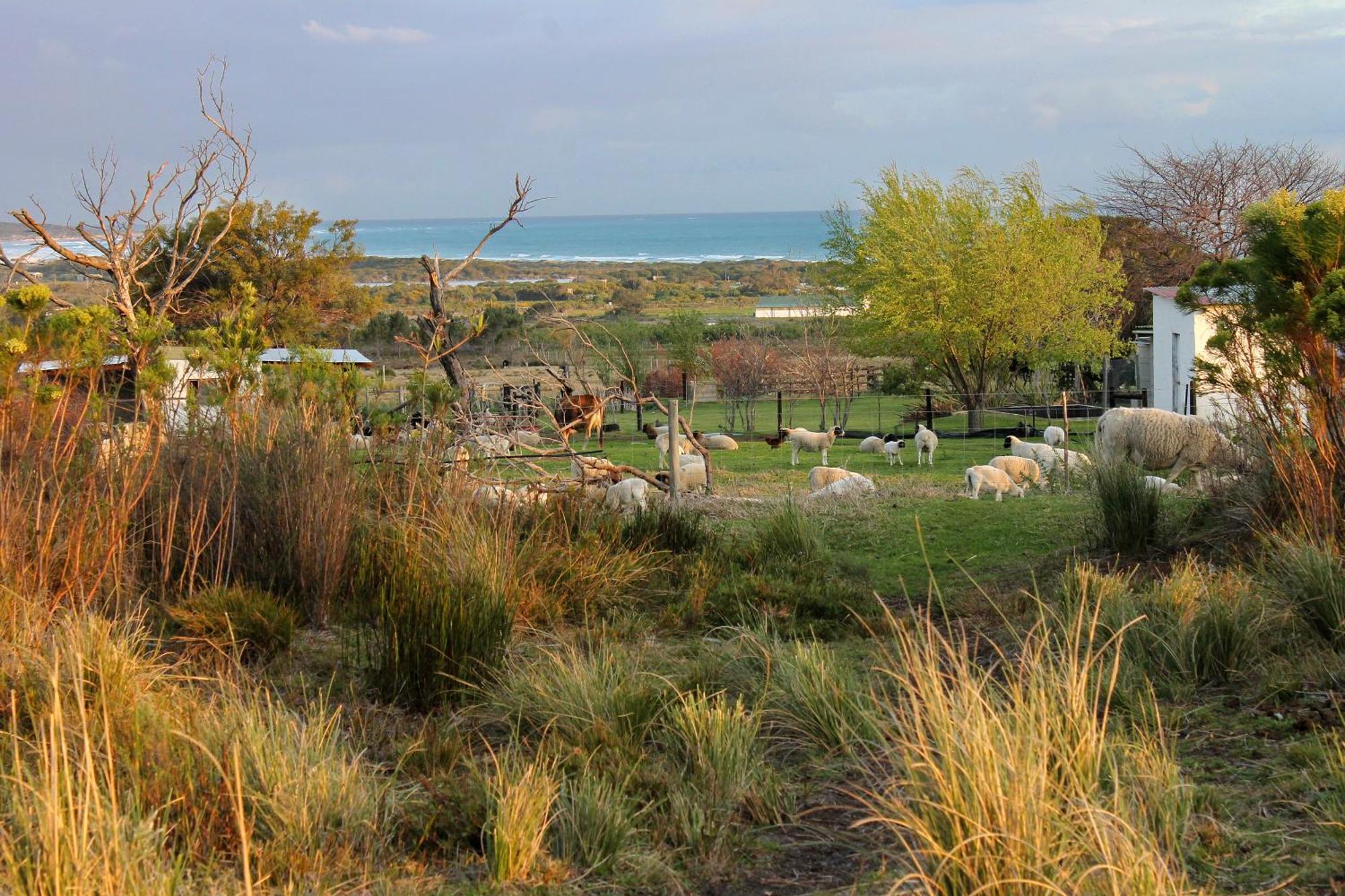 Blombos Self-Catering House Βίλα Franskraalstrand Εξωτερικό φωτογραφία